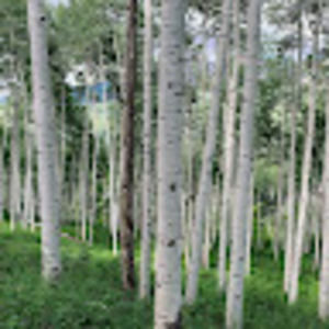 Meet your Posher, Tessa